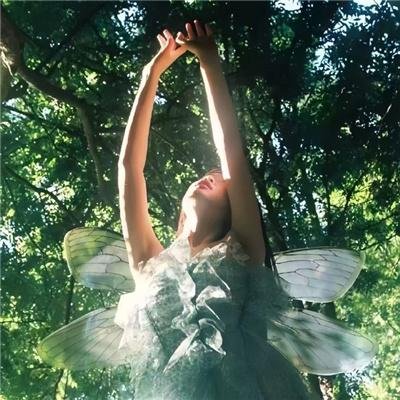 世上最美的离别