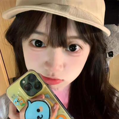 科搜研之女第24季